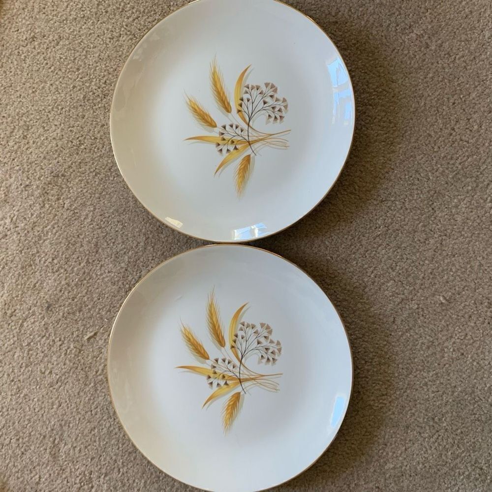 2 Vintage Brown & Yellow Wheat 9 1/4” Plates